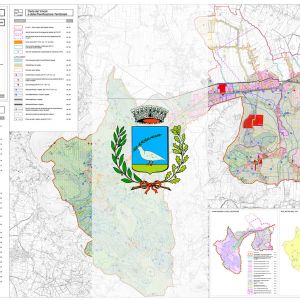 P.A.T. - Piano d'Assetto del Territorio Adottato